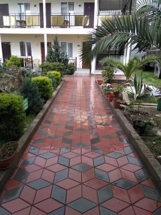 Mini Hotel Vavilon New Athos エクステリア 写真